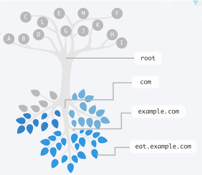 DNS Structure